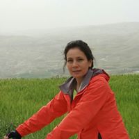 Hala Zawati Email & Phone Number