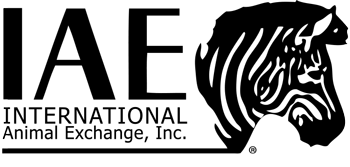 similar logo company